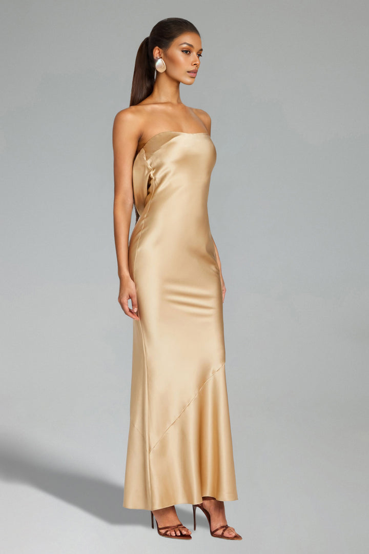 Dasha Strapless Backless Maxi Dress