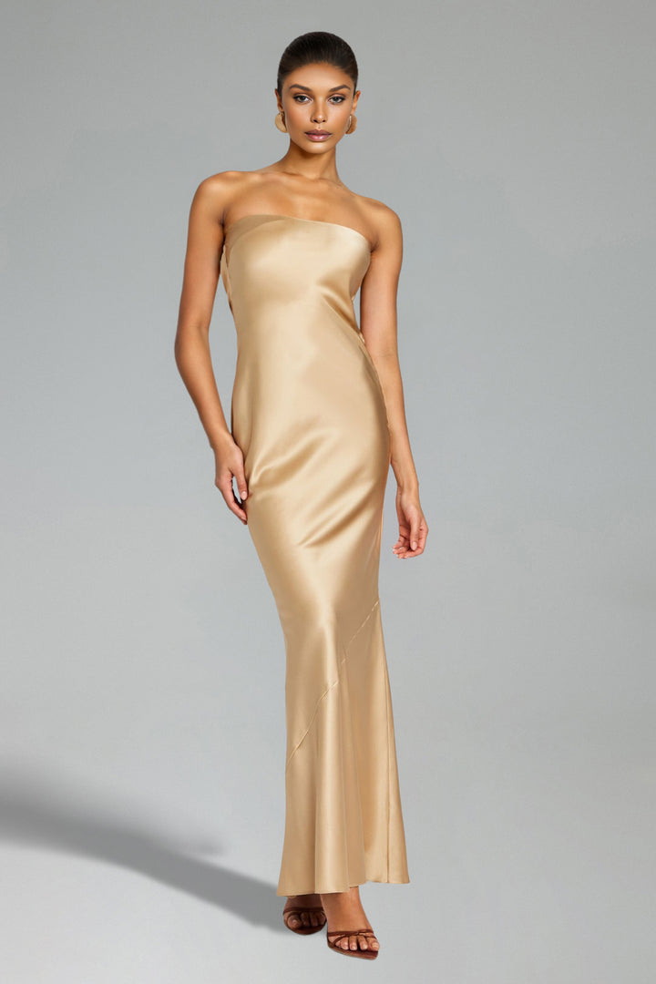 Dasha Strapless Backless Maxi Dress