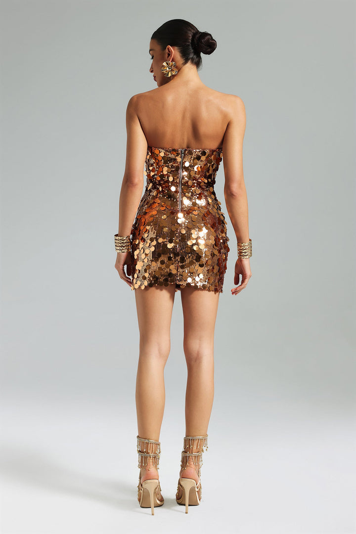 Pablo Sequins Strapless Mini Dress